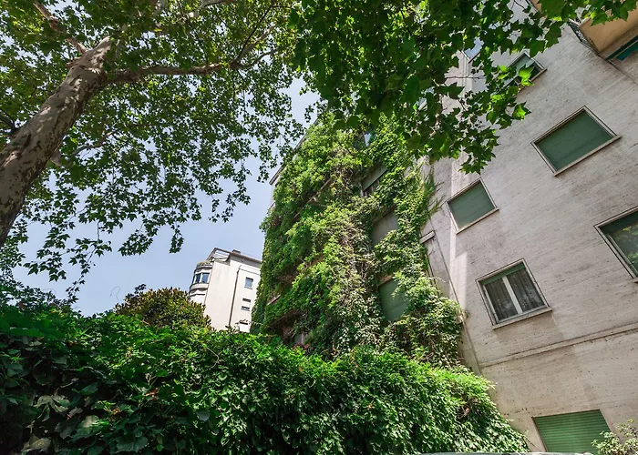 Majno